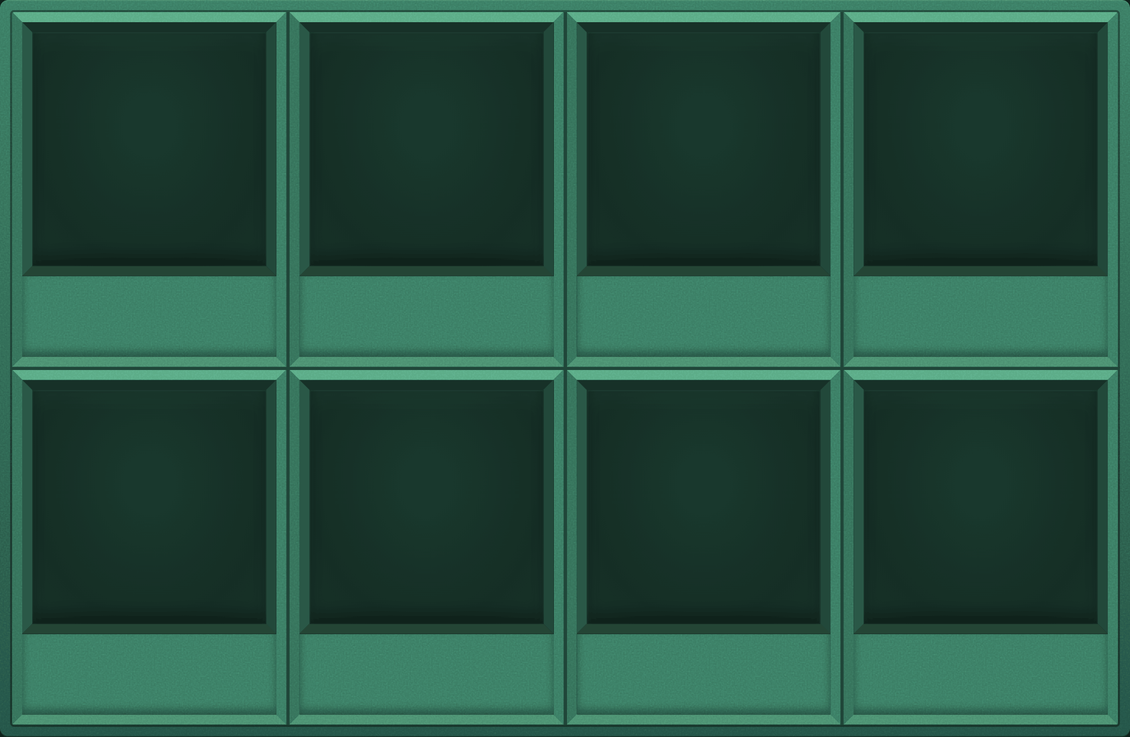 Aurora Mint Display Case (2x4)